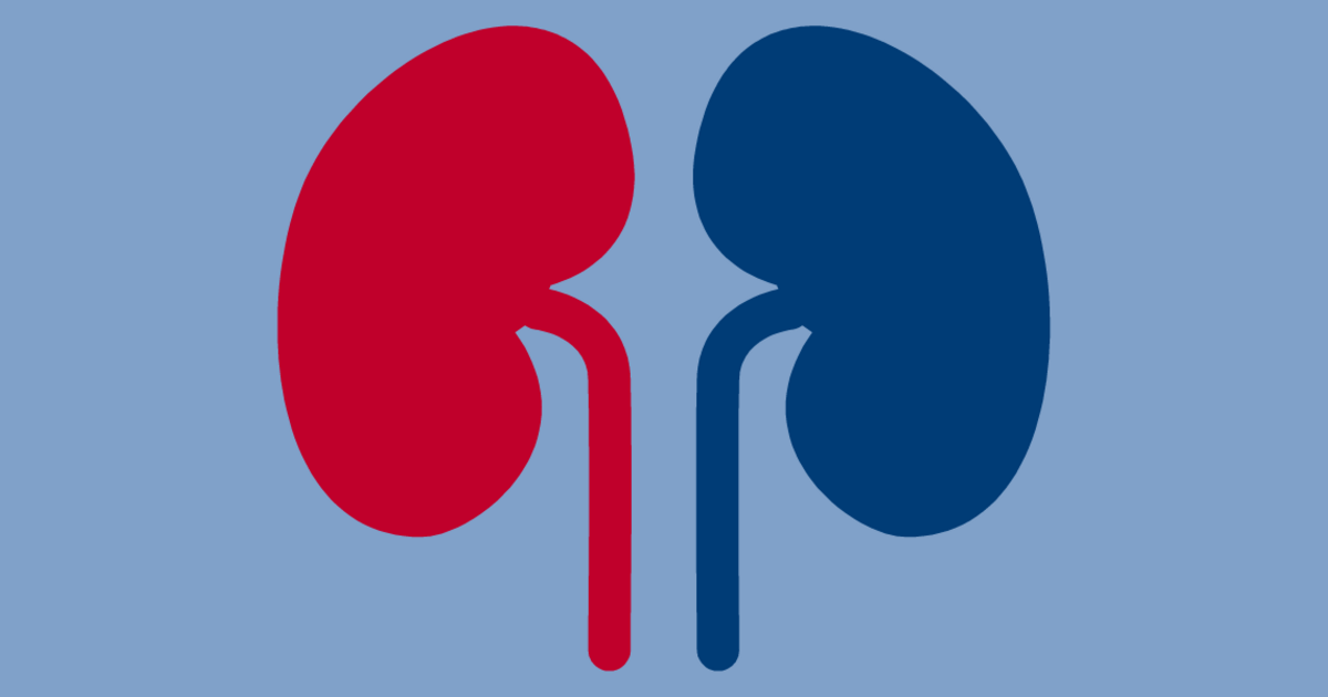 neph.social – Mastodon for Nephrology